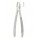 Extracting Forceps, English Pattern